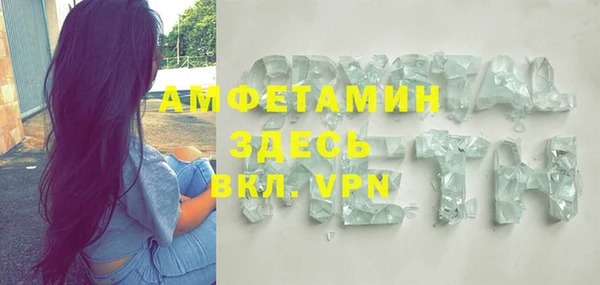 сатива Балахна