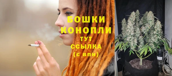 ГАЛЛЮЦИНОГЕННЫЕ ГРИБЫ Армянск