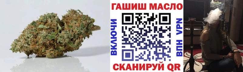 ТГК концентрат Стародуб