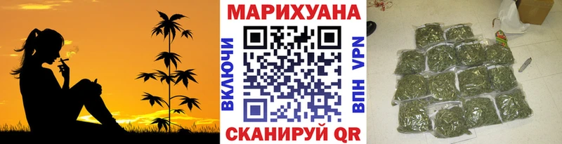 Бошки марихуана OG Kush  Купить где  Стародуб 